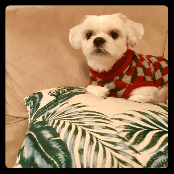 Meet your Posher, Suhee - Picture 1 of 1